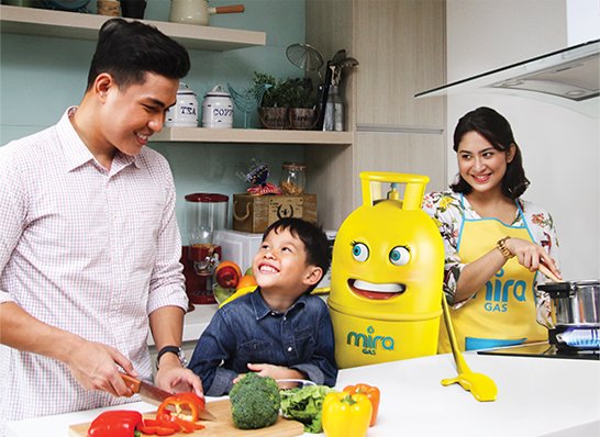 Domestic LPG